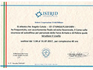 sito web